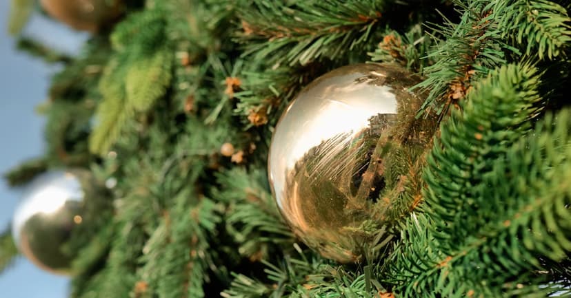 หวยฮานอย เมษายน 2569 ผลออกกี่โมง ตารางออกรางวัลครบ